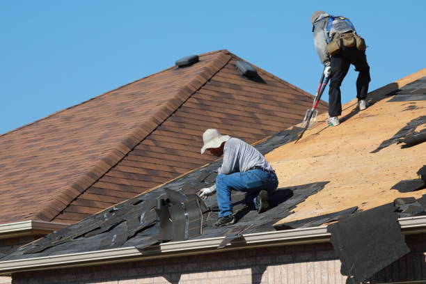 Best Chimney Flashing Repair  in Avis, PA